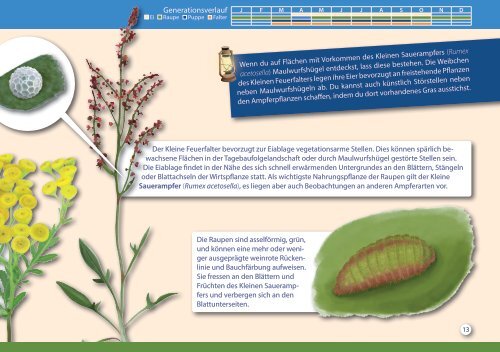 MYL8PE#scientificillustration