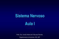 Sistema Nervoso - Profa Cecilia H G Ferreira - marchioli