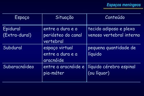 Sistema Nervoso - Profa Cecilia H G Ferreira - marchioli