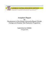 Inception Report - CDEMA