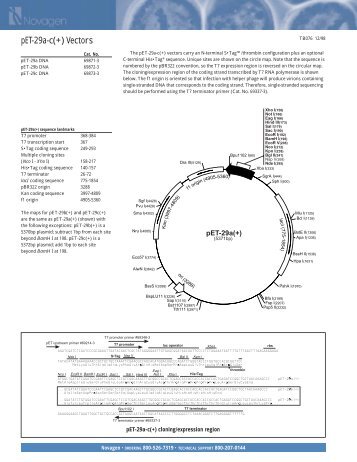 pET-29a-c(+) Vectors - Gene Synthesis