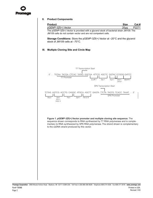 pGEMÂ®-3Zf(+) Vector Technical Bulletin, TB086 - Gene Synthesis