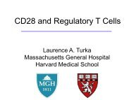 CD28 and Regulatory T Cells