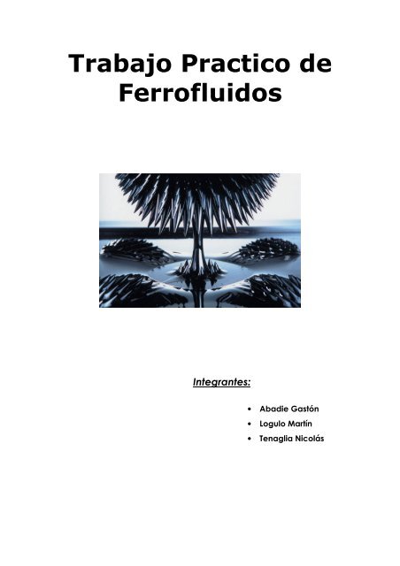 Trabajo Practico de Ferrofluidos