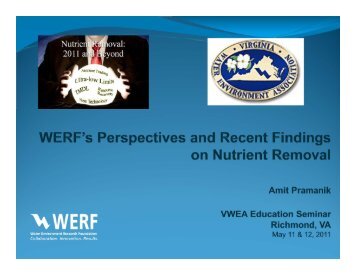 werf perspectives and recent findings on nutrient removal