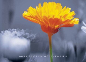 Rockresorts Spa Brochure - The Arrabelle at Vail Square ...