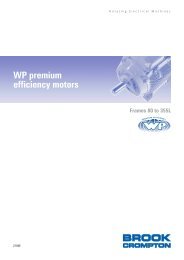 WP premium efficiency motors