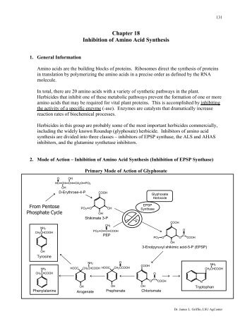 Chapter 18 Inhibition of Amino Acid Synthesis