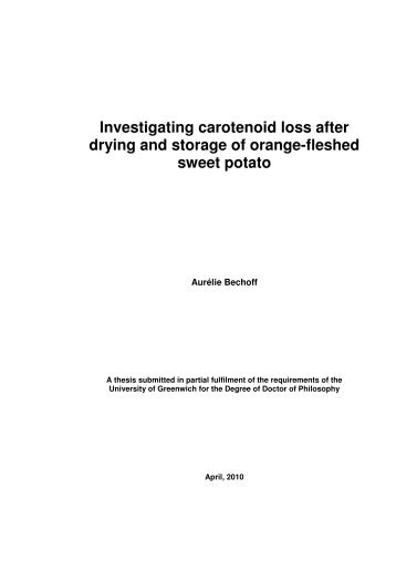 Investigating carotenoid loss after drying and storage of