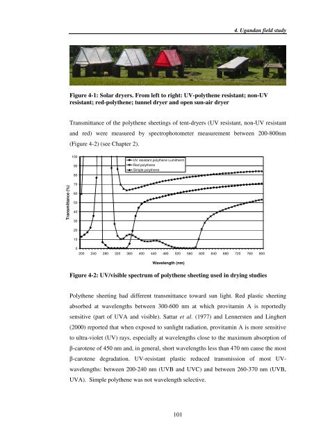 Investigating carotenoid loss after drying and storage of