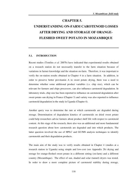 Investigating carotenoid loss after drying and storage of