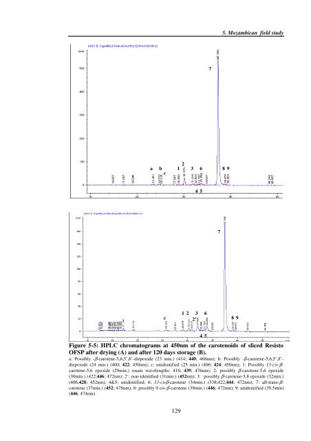 Investigating carotenoid loss after drying and storage of