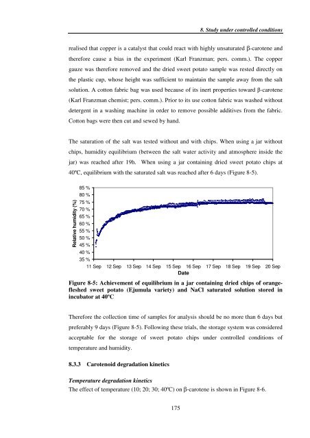 Investigating carotenoid loss after drying and storage of