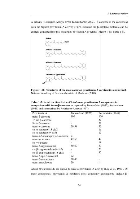 Investigating carotenoid loss after drying and storage of