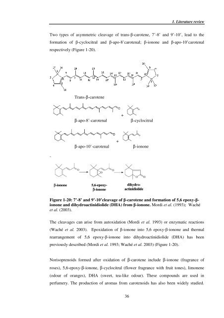 Investigating carotenoid loss after drying and storage of