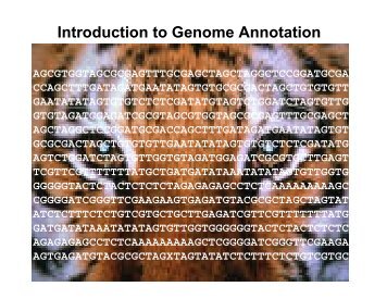 Introduction to Genome Annotation - CPGR