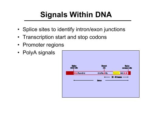 Introduction to Genome Annotation - CPGR