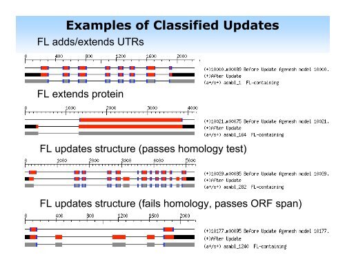 PASA Pipeline - Rice Genome Annotation Project