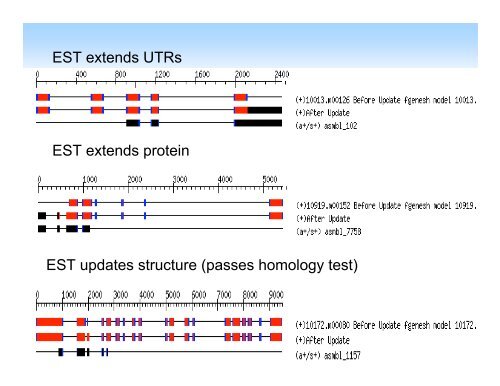 PASA Pipeline - Rice Genome Annotation Project