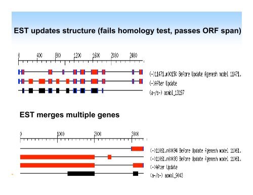 PASA Pipeline - Rice Genome Annotation Project