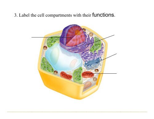 1 Cell Biology TL Unit Contributors: