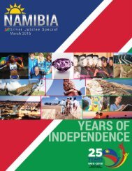 Business, Investment and Tourism Magazine, Embassy of Namibia, Sweden