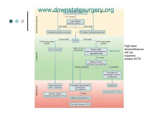 Absite Review Series: Adrenal Gland Disorders
