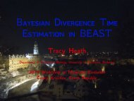 Bayesian Divergence Time Estimation in BEAST