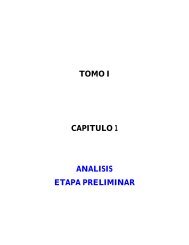 TOMO I CAPITULO 1 ANALISIS ETAPA PRELIMINAR - suaita ...