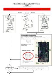 Quick Start of Blue gate ISDN Brave Start - Alphatech