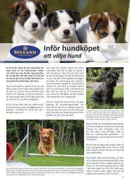 InfÃ¶r hundkÃ¶pet att vÃ¤lja hund - Sveland