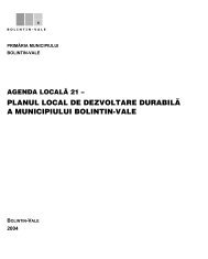planul local de dezvoltare durabilÃ£ a municipiului bolintin-vale