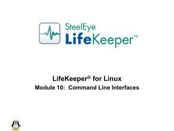LifeKeeper™ for Linux - SIOS