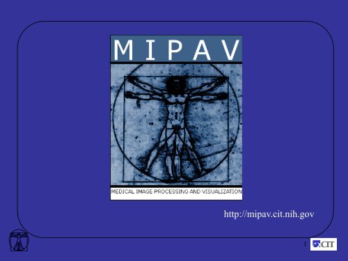 Segmentation and Annotation - mipav