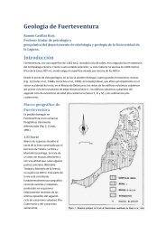 Geología de Fuerteventura - ACEC. Viera y Clavijo