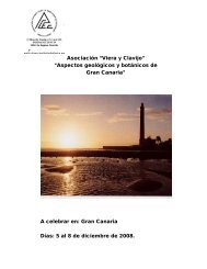 Gran Canaria 12/08 - ACEC. Viera y Clavijo