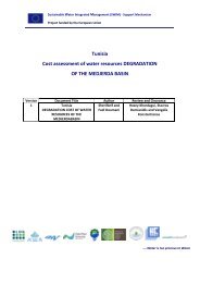 Analysis for European Neighbourhood Policy (ENP ... - SWIM-SM