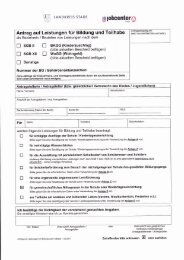 Bildungspaket-Antrag Mensa (PDF 2 MB) - Integrierte Gesamtschule ...