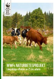 14-3890_naturbetesmarker 2015 stor