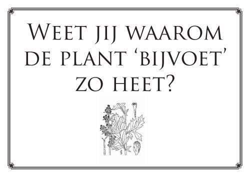 quizvragen - DE BOOM IN