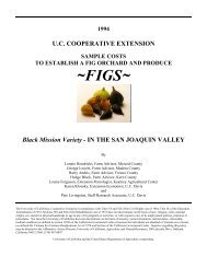 To Establish A Fig Orchard And Produce Figs - Cost & Return Studies