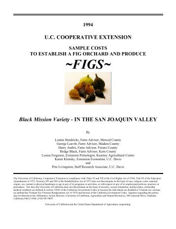 To Establish A Fig Orchard And Produce Figs - Cost & Return Studies