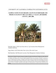 sample costs to establish a date palm orchard and produce dates in ...