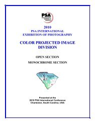 COLOR PROJECTED IMAGE DIVISION - PSA Exhibition