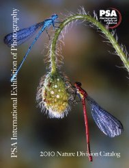 2010 Catalog: Nature PDF - PSA Exhibition