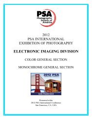 ELECTRONIC IMAGING DIVISION - PSA Exhibition