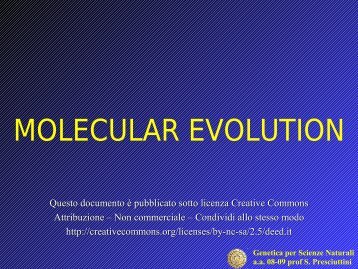 MOLECULAR EVOLUTION