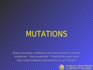 Gene mutation