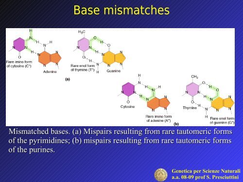 Gene mutation