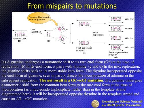 Gene mutation